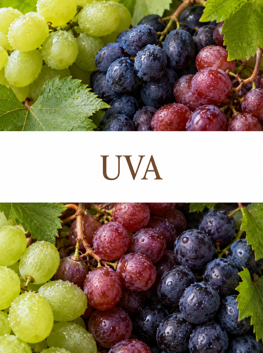 Fragancia de Uva