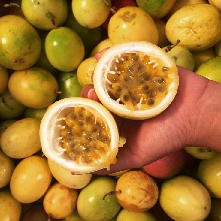 ESENCIA MARACUYÁ TROPICAL