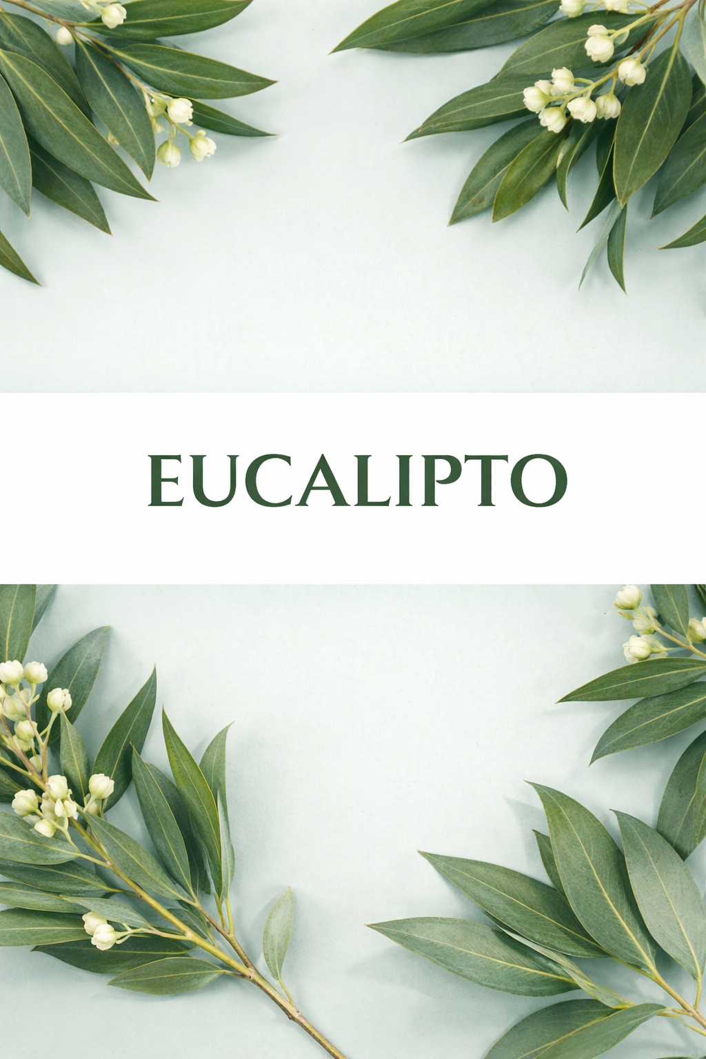 Fragancia Eucalipto