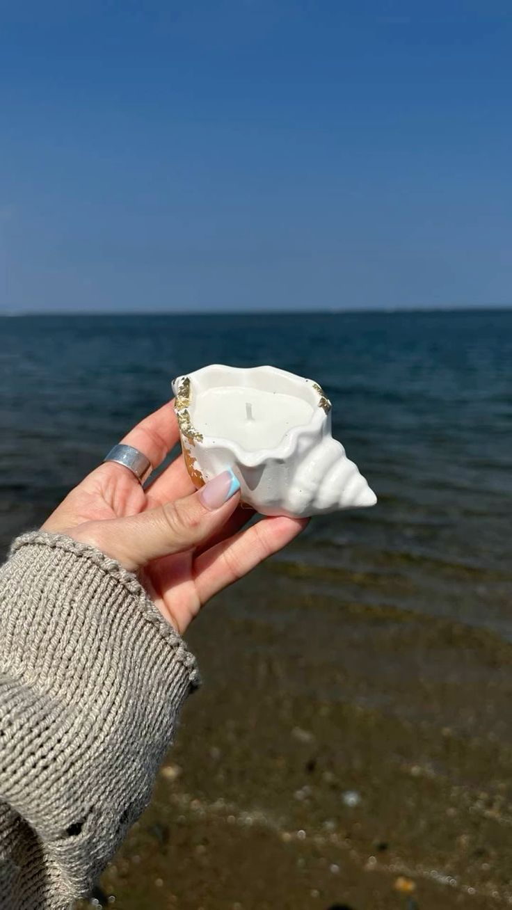 Molde caracola marina mini