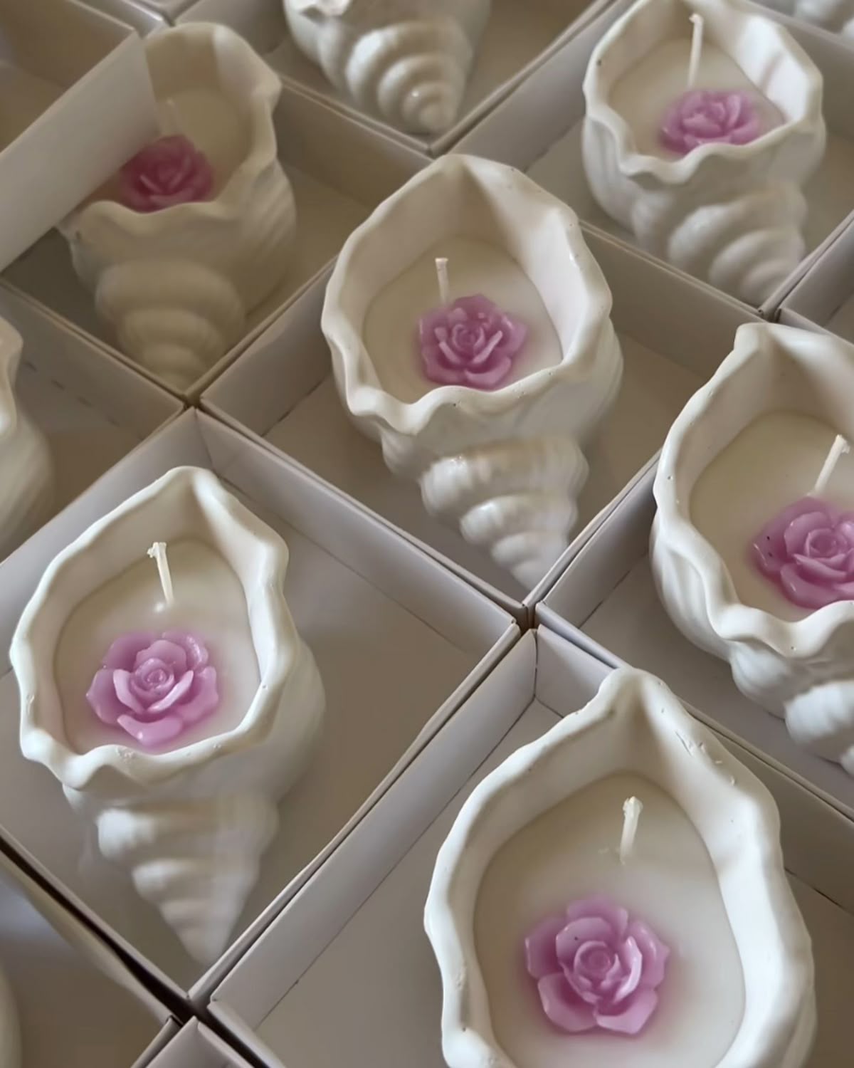 Molde caracola marina mini