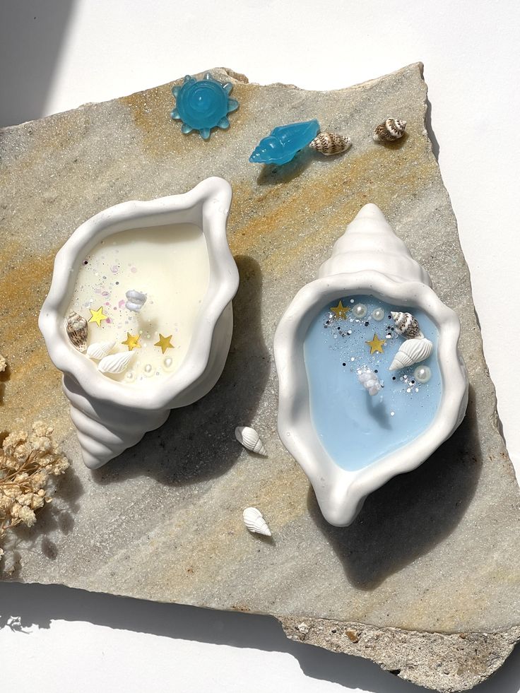 Molde caracola marina mini