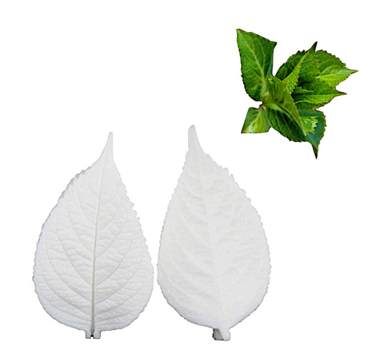 Molde Texturizador, hoja de Hortensia