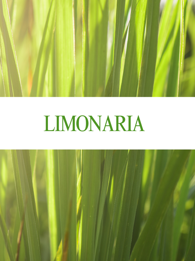 Esencia Limonaria