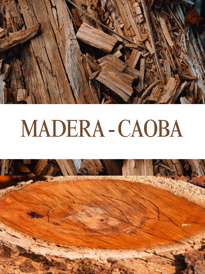 🌲 Madera Caoba